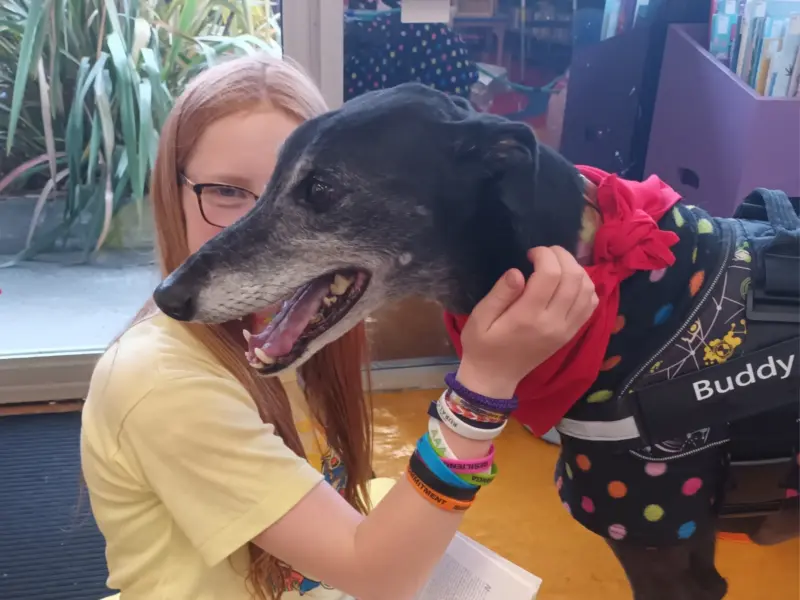 A child is reading a book with a greyhound