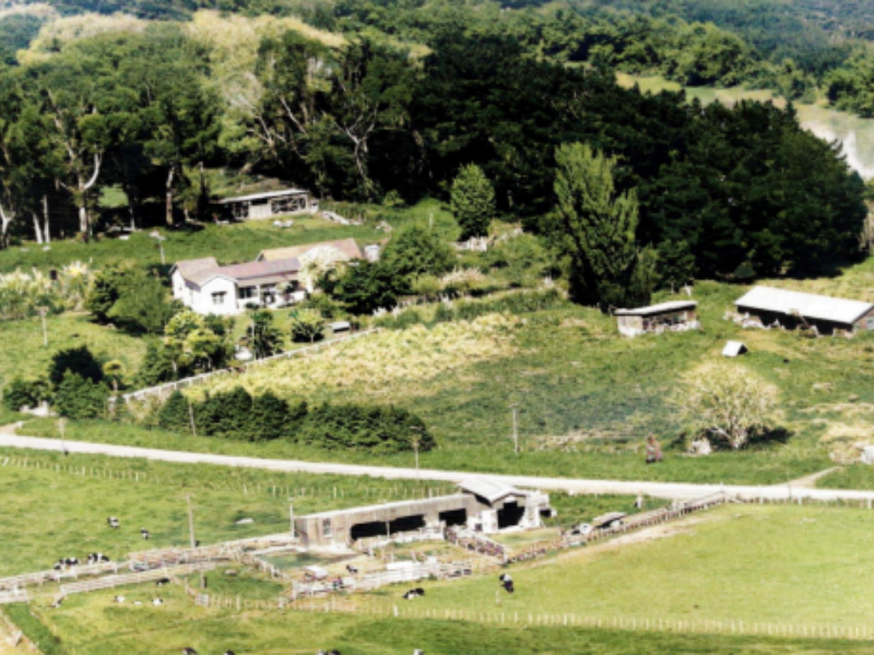Alve Homestead