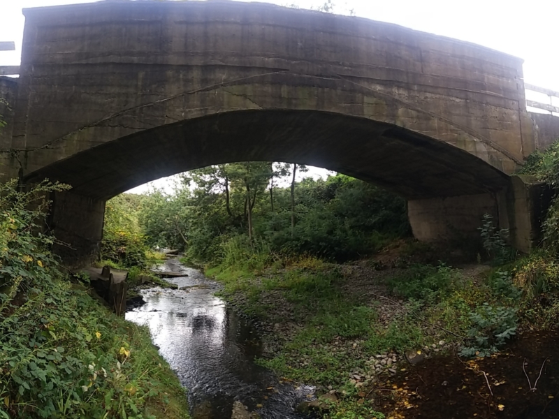Mangaone bridge