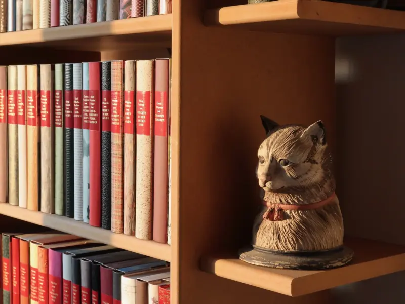 Book shelf 3419461 1920