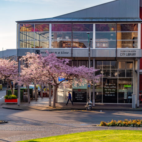 Central blossoms