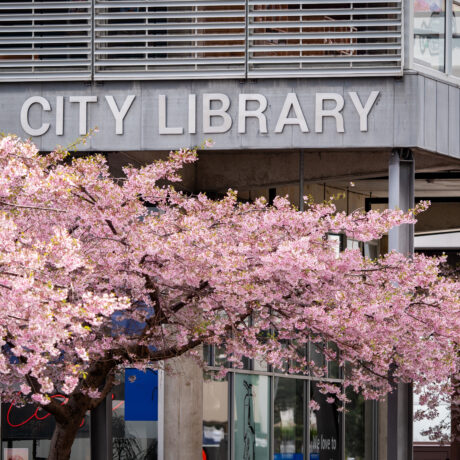 City library P2522964 September 26 2023 1