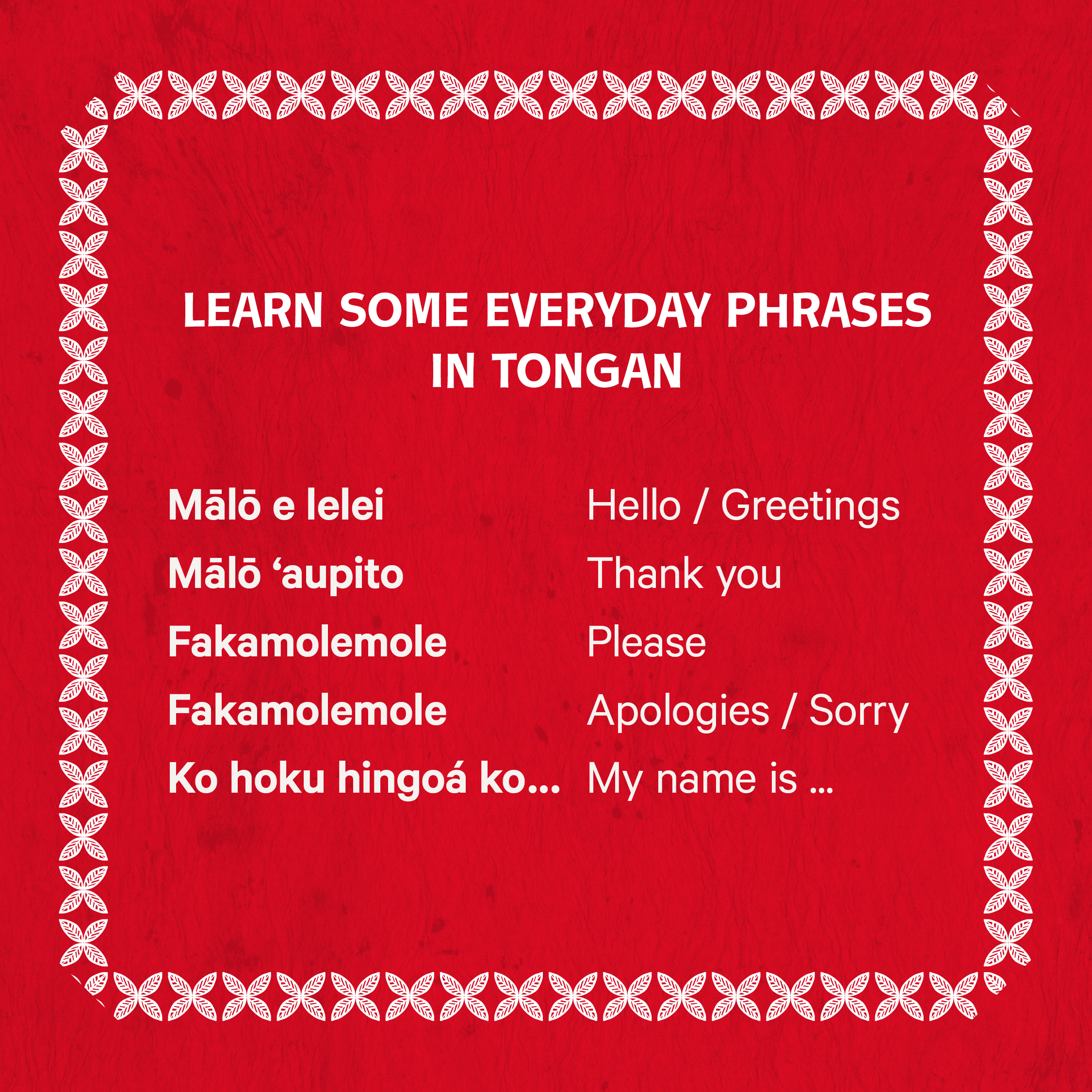 https://citylibrary.pncc.govt.nz/assets/Slider-images/Leah-blog-pics-and-to-go-through/Tonga-resource-MPP.jpg
