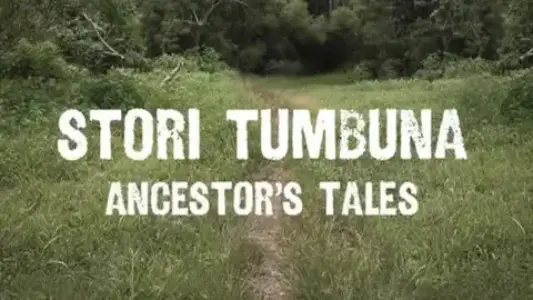Stori Tumbuna