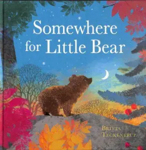 Somewhere for Little Bear