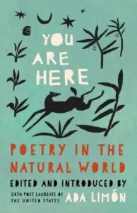 You are here