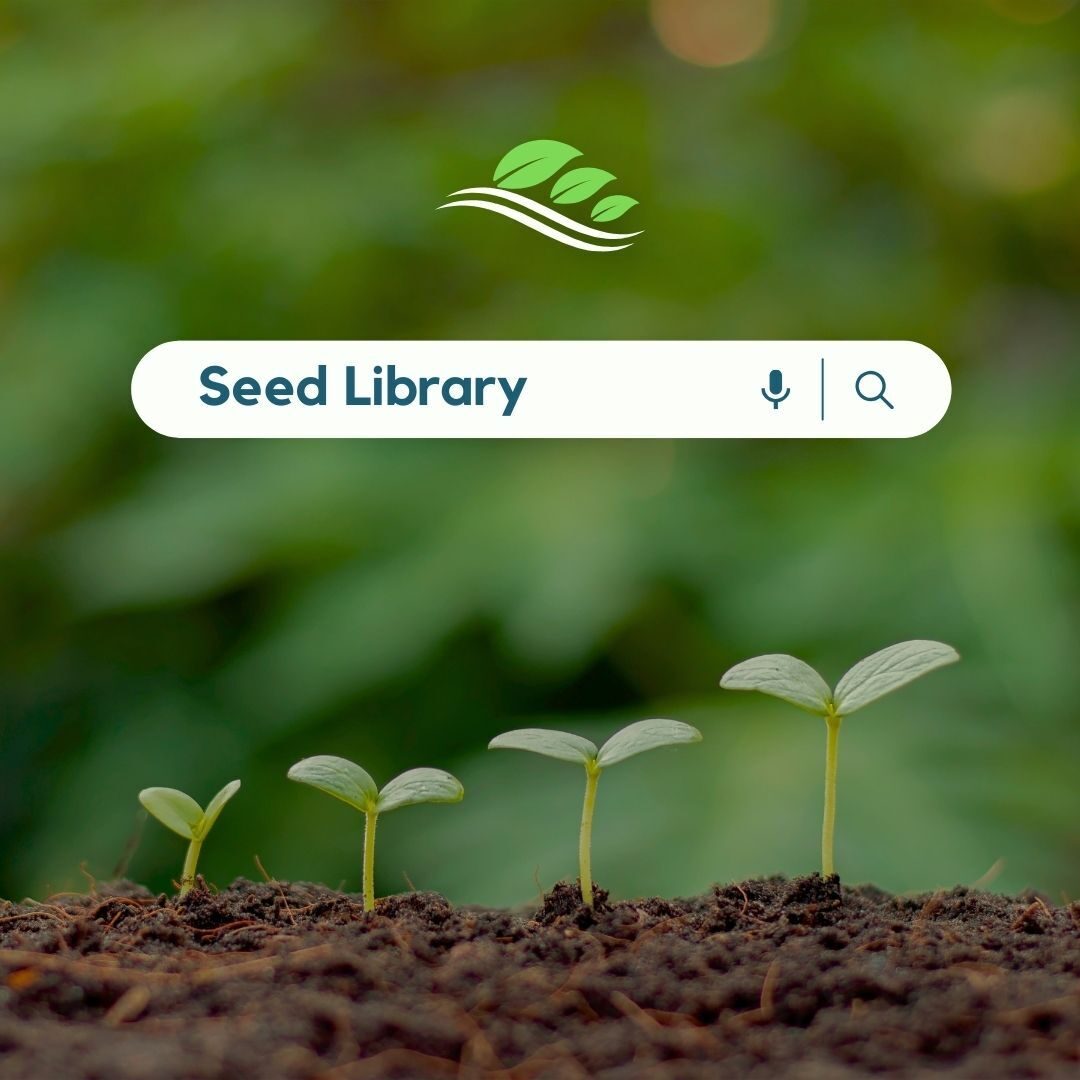 Seed library