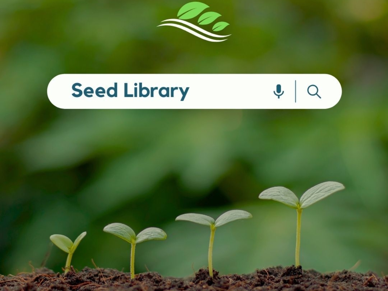 Seed library