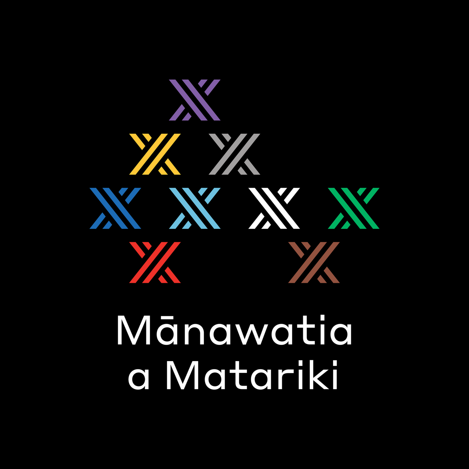 Matariki Social Media Post Square