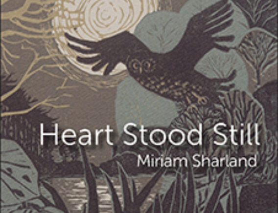 Heart Stood Still website 226