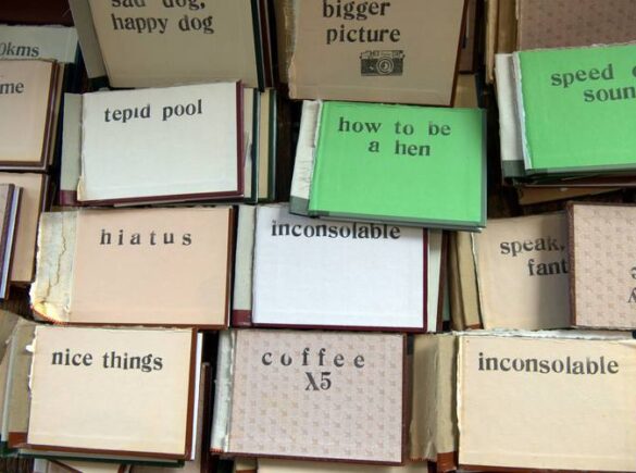 1912294 10153561678964554 9031287759824620431 o