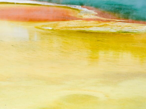 Aleza van der werff U735f2 I Xunk unsplash