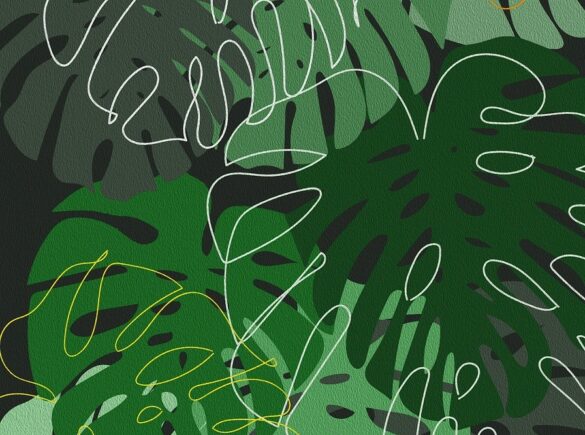 Monstera 8769877 1280