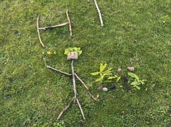 Nature pic 2
