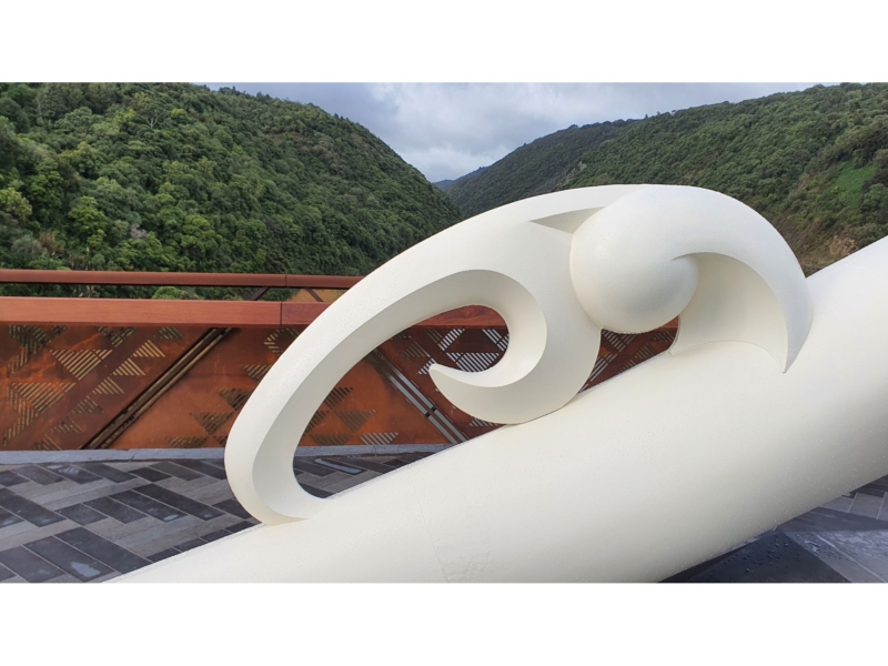 2020607 114247 Te Hīkoi