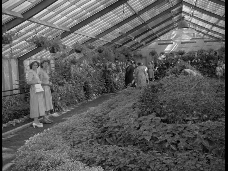 2026 03 25 The Peter Black Conservatory