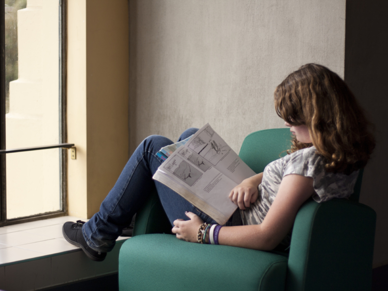 main image for Where is Fiction?