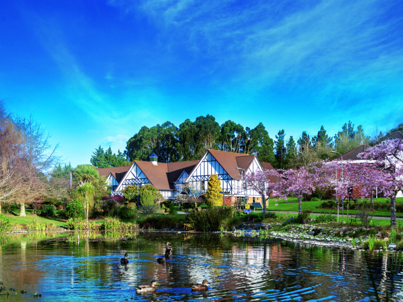 Cream buildings with peaked roofs overlooking a lake with a cherry blossom tree blooming on the right.