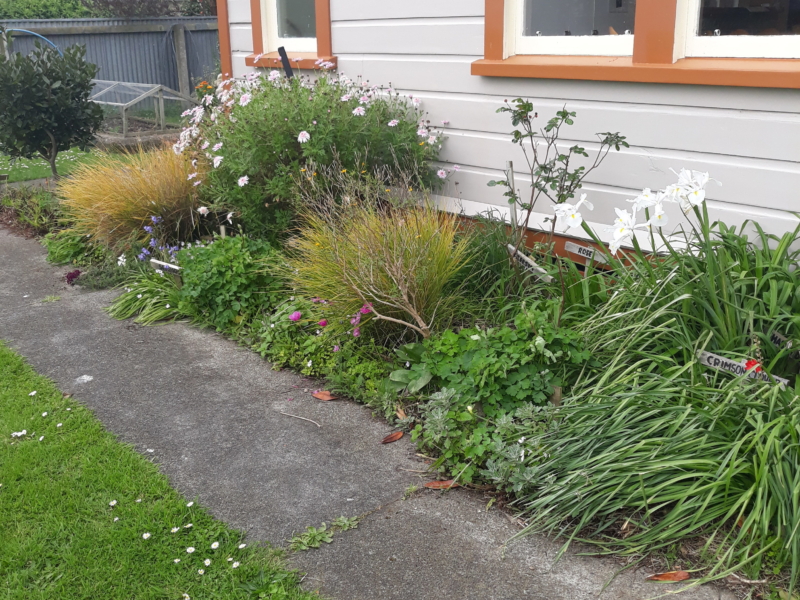 main image for Is there a community garden in Ashhurst?