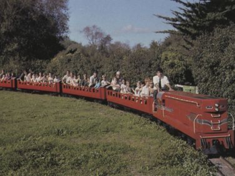 Red miniature railway driven by a man with a white shirt and black tie carrying children and adults. The train is coming on a curve with trees in the background. .