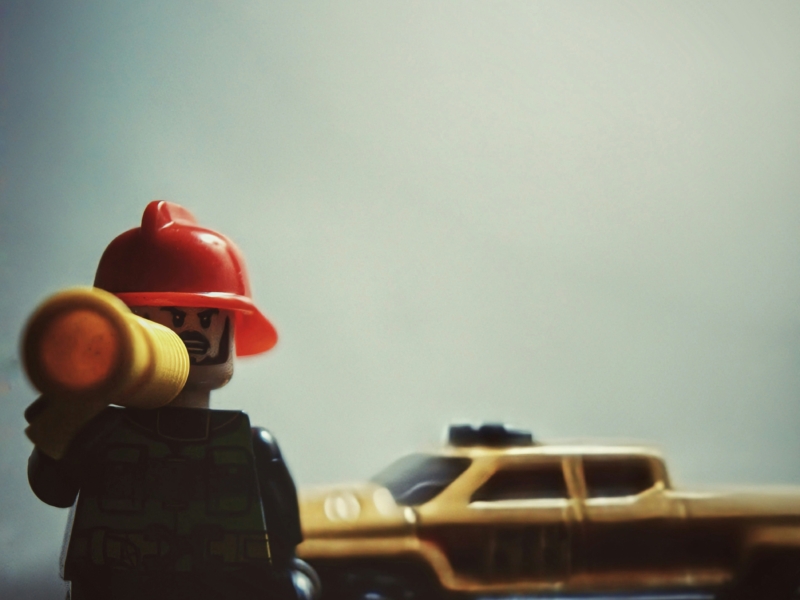 Hidden Fm Fly ZBG Hzc unsplash