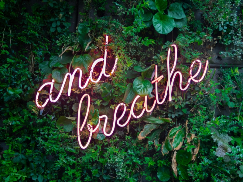 Max van den oetelaar buym Ym3 RQ3 U unsplash