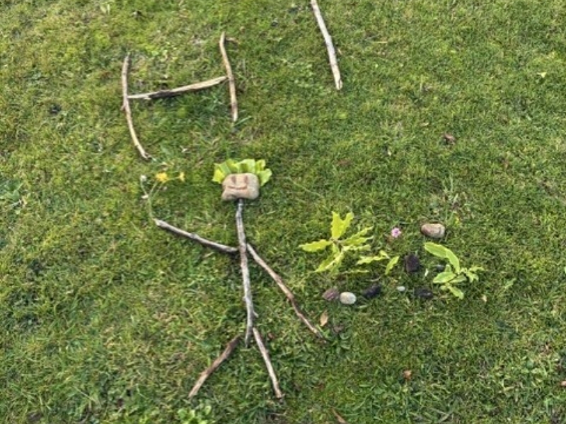 Nature pic 2
