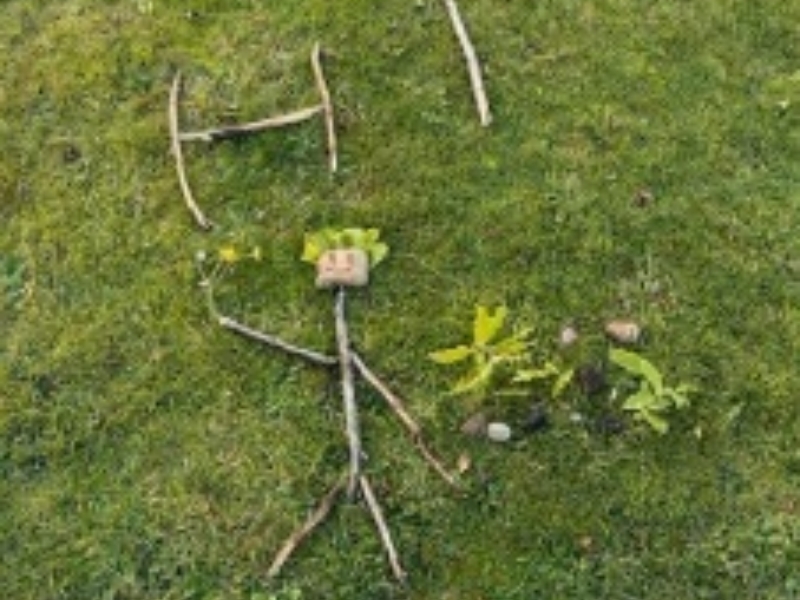 Nature pic