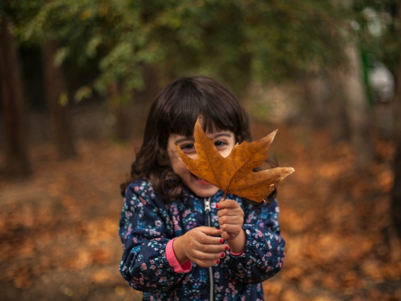 Shoeib abolhassani VEB1 Vz4ap0 A unsplash