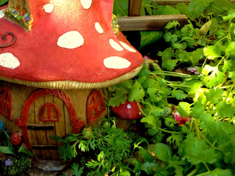 Toadstool house
