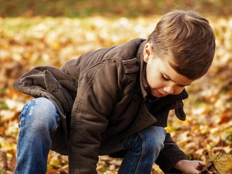 Toddler in the park 1995818 640