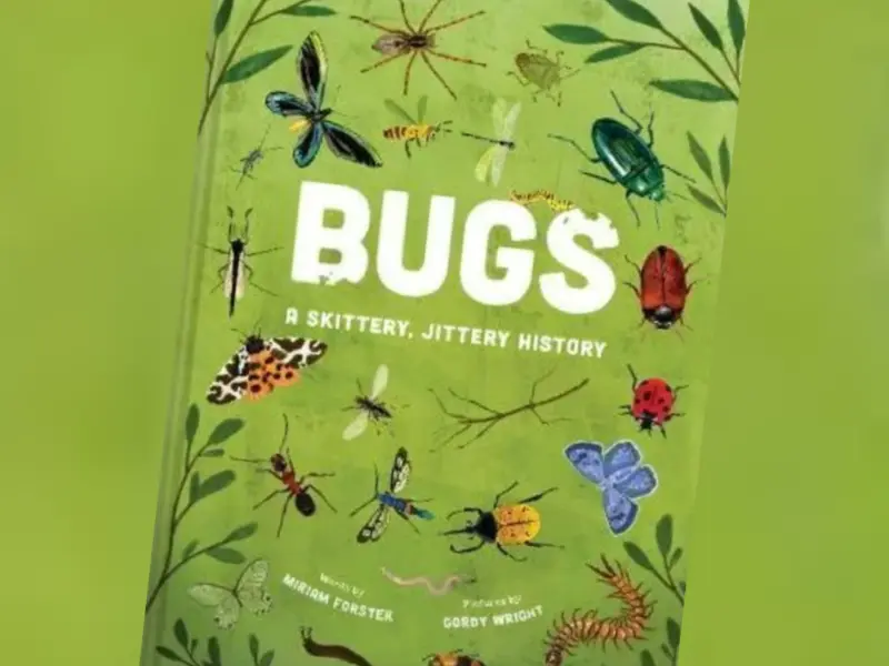 Bugs 1