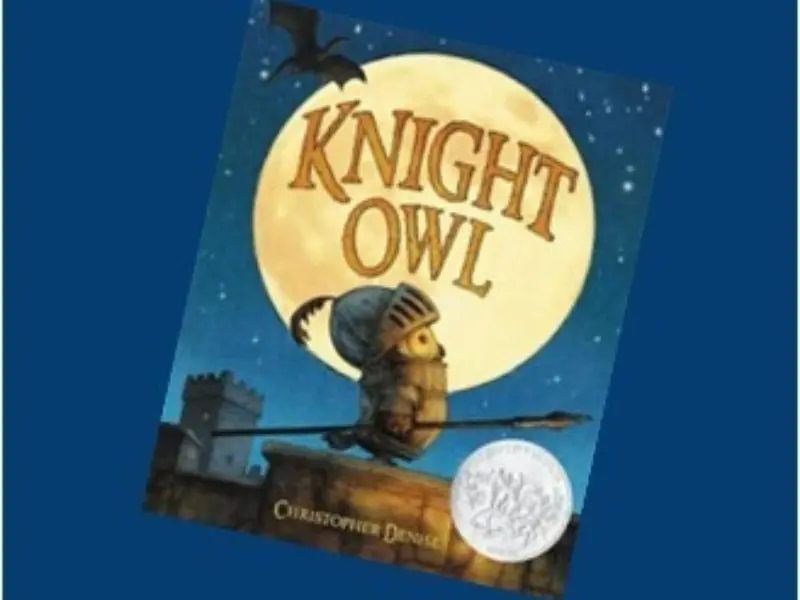 Knight owl