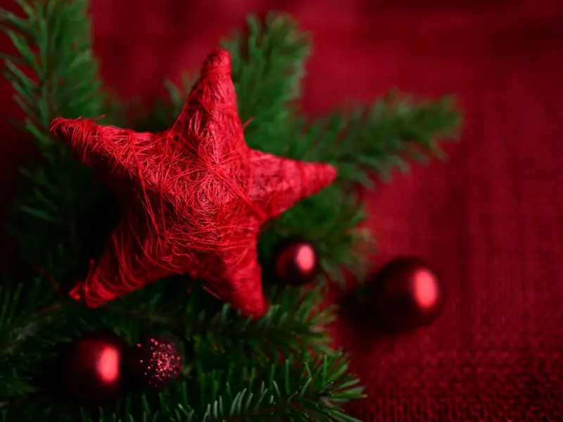 Congerdesign star 6803666