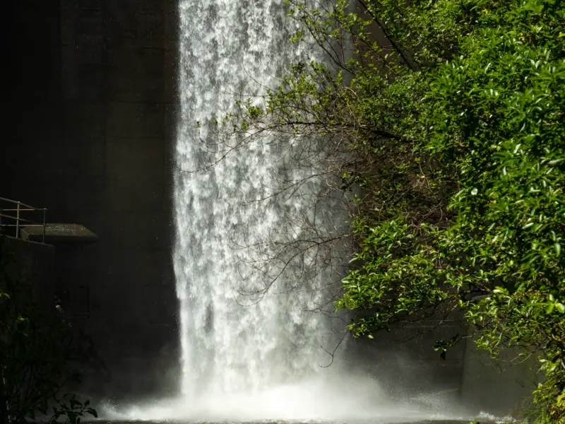 Turitea Dam P2099544 February 17 2022