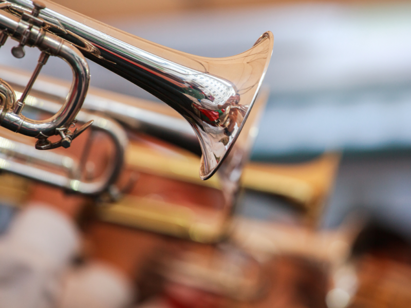 Palmy Brass website image