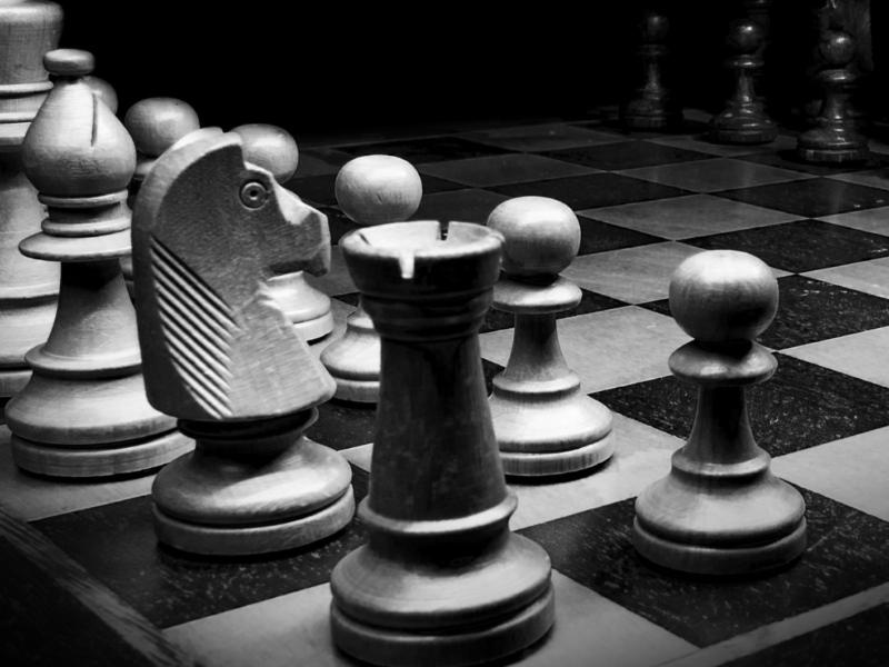 Palmy Rooks Tumbnail