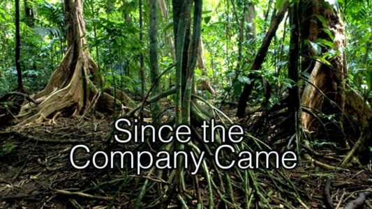 Since the company came